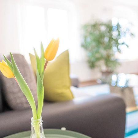 Helle Ferienwohnung Im Hinterhof Dresden Luaran gambar